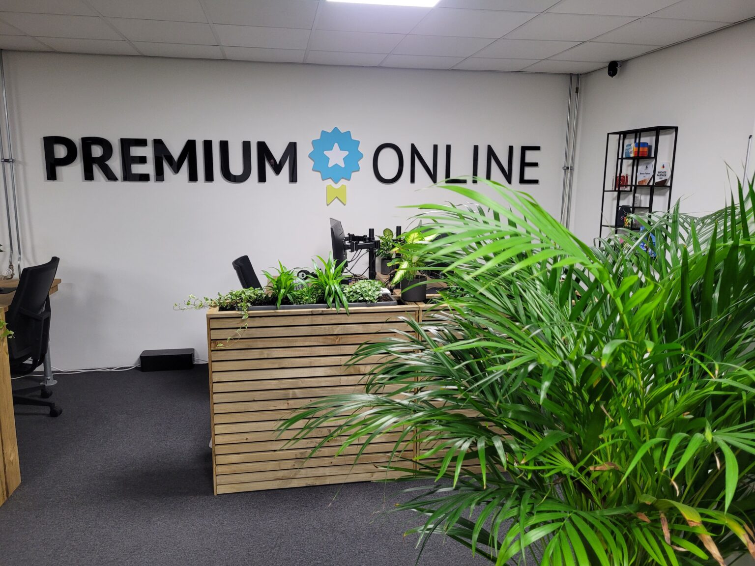 Specialist en ondernemer werken samen aan een website